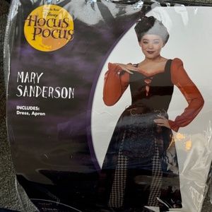 Mary Sanderson costume